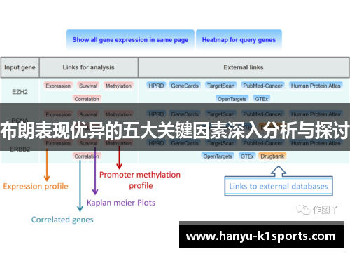 布朗表现优异的五大关键因素深入分析与探讨 布朗表现优异的五大关键因素深入分析与探讨
