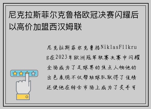 尼克拉斯菲尔克鲁格欧冠决赛闪耀后以高价加盟西汉姆联 尼克拉斯菲尔克鲁格欧冠决赛闪耀后以高价加盟西汉姆联